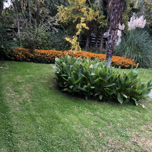 aJardín con césped y parterre de flores diseñado por Jardinería Ortega en Las Rozas