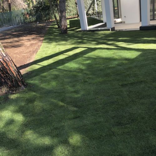 aJardín con césped y arbolado maduro mantenido por Jardinería Ortega en Moncloa-Aravaca